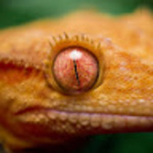 Meet your Posher, Matthias